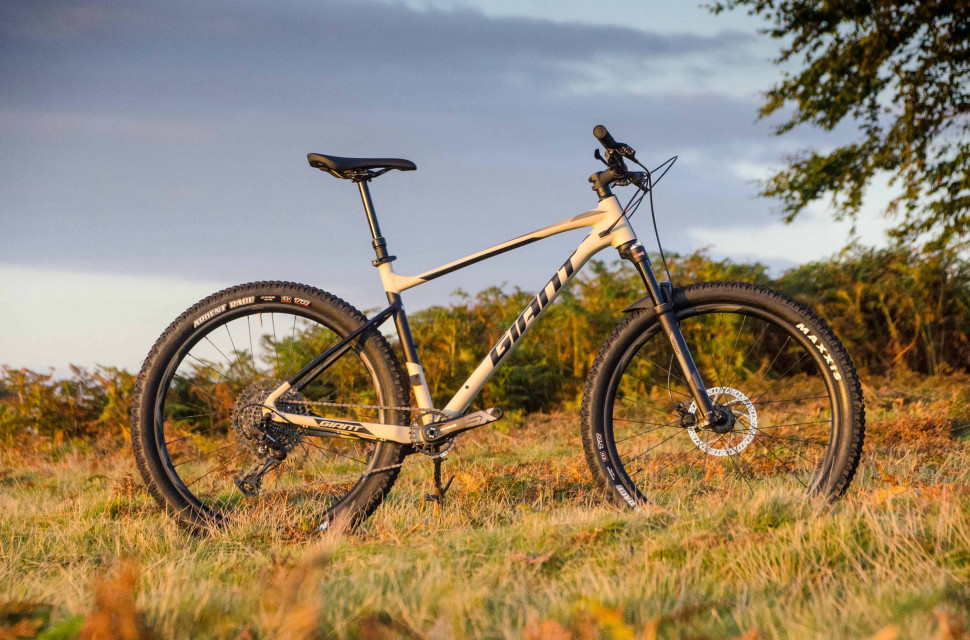 Giant fathom shop 29er 2020